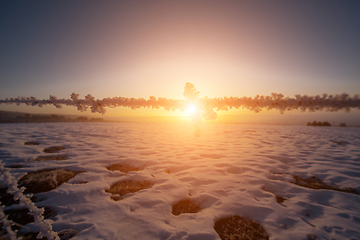 Image showing winter landscape during sunset