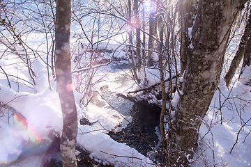 Image showing small river in the winter forest