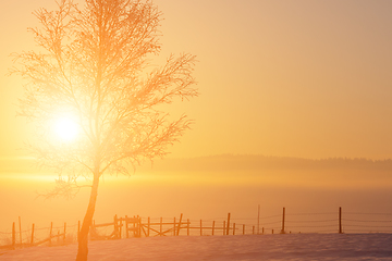 Image showing Beautiful winter landscape