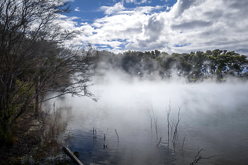 Image showing Misty lake and forest in Rotorua, New Zealand