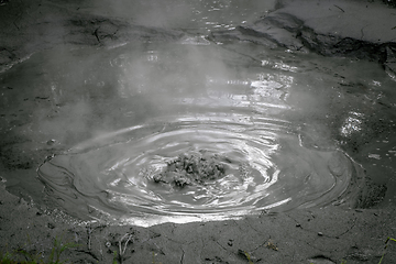 Image showing Rotorua boiling mud pool, New Zealand