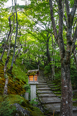 Image showing Lamp in Jojakko-ji temple, Kyoto, Japan