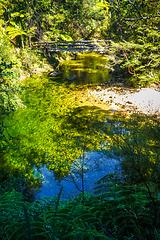 Image showing Bridge on a river. Abel Tasman National Park, New Zealand