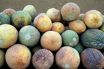 Image showing Melons