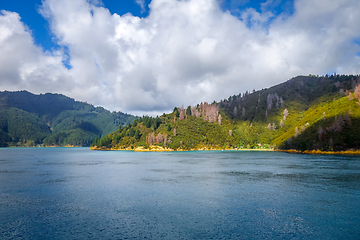 Image showing Marlborough Sounds, New Zealand