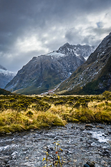 Image showing River in Fiordland national park, New Zealand