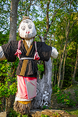 Image showing Japanese scarecrow in Nara Park, Japan