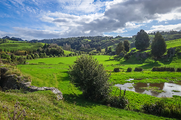 Image showing New Zealand countryside landscape