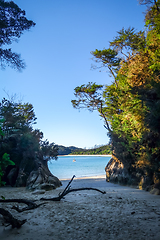 Image showing Creek at sunset in Abel Tasman National Park, New Zealand