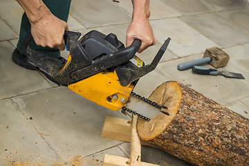 Image showing Making a birdhouse from alder logs