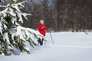 Image showing Woman,  europeans, walks in the winter forest