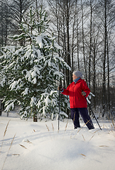 Image showing Woman, europeans, winter in the woods