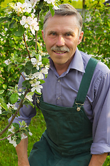 Image showing Man advanced in years in the spring garden