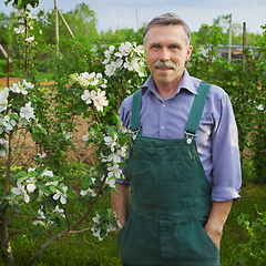 Image showing Man advanced in years in spring garden