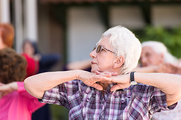 Image showing senior woman exercising with friends