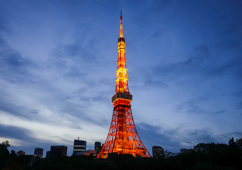 Image showing Tokyo tower at night, Japan