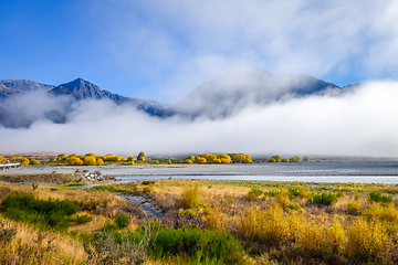 Image showing Yellow forest and river in New Zealand mountains