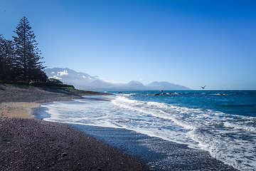 Image showing Kaikoura beach, New Zealand