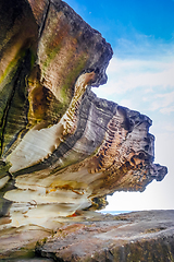 Image showing Bondi Beach coastal cliffs, Sydney, Australia