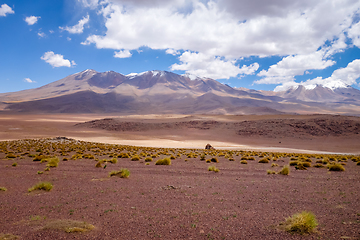 Image showing Altiplano mountains in sud Lipez reserva, Bolivia