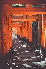 Image showing Fushimi Inari Taisha torii, Kyoto, Japan