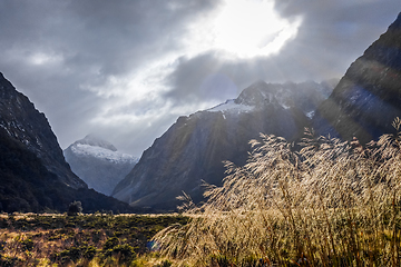 Image showing Fiordland national park stormy landscape, New Zealand