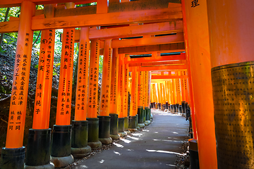 Image showing Fushimi Inari Taisha torii, Kyoto, Japan