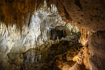 Image showing Waitomo glowworm caves, New Zealand