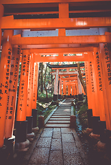 Image showing Fushimi Inari Taisha torii, Kyoto, Japan