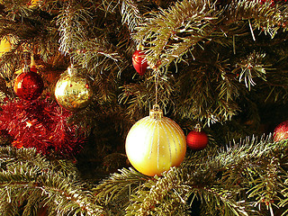 Image showing Christmas tree