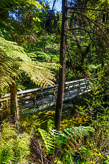 Image showing Bridge on a river. Abel Tasman National Park, New Zealand