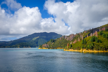 Image showing Marlborough Sounds, New Zealand