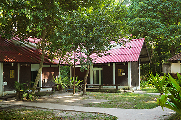 Image showing Resting place on Koh, Similan Islands, Thailand