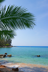 Image showing Shore of one of the seas of the South