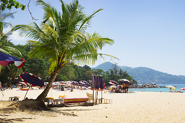 Image showing Beach in Phuket, light shade from the palm trees