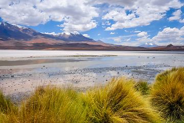 Image showing Laguna Honda in sud Lipez Altiplano reserva, Bolivia