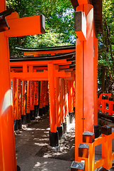 Image showing Fushimi Inari Taisha torii, Kyoto, Japan