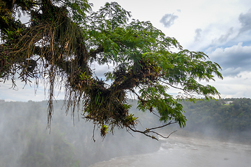 Image showing Parana river at iguazu falls