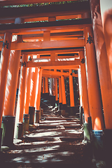 Image showing Fushimi Inari Taisha torii, Kyoto, Japan