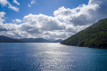 Image showing Marlborough Sounds, New Zealand