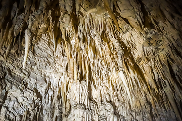 Image showing Waitomo glowworm caves, New Zealand