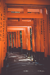 Image showing Fushimi Inari Taisha torii, Kyoto, Japan