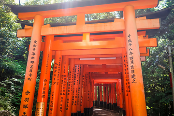 Image showing Fushimi Inari Taisha torii, Kyoto, Japan