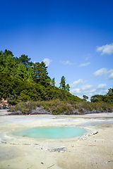 Image showing Green lake in Waiotapu, Rotorua, New Zealand