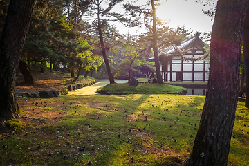 Image showing Pavillion in Nara park, Japan