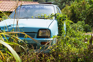 Image showing Vehicle abandoned to their fate and overgrown