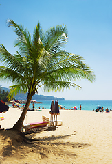 Image showing Beach in Phuket, light shade from the palm trees