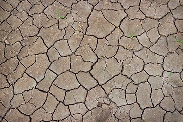 Image showing Soil cracked by the scorching sun