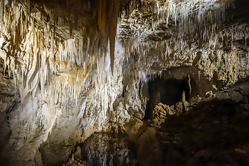 Image showing Waitomo glowworm caves, New Zealand