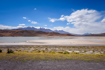 Image showing Laguna Honda in sud Lipez Altiplano reserva, Bolivia